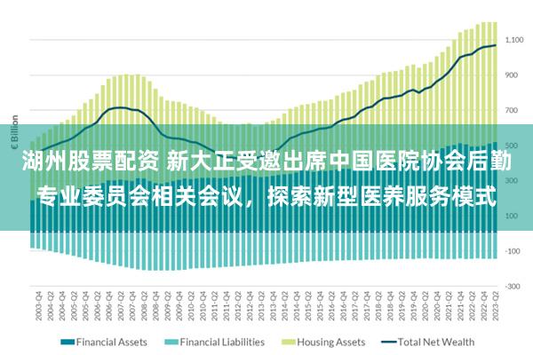 湖州股票配资 新大正受邀出席中国医院协会后勤专业委员会相关会议，探索新型医养服务模式