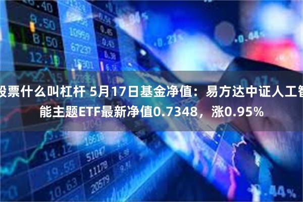 股票什么叫杠杆 5月17日基金净值：易方达中证人工智能主题ETF最新净值0.7348，涨0.95%