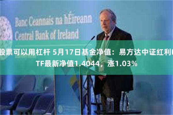 股票可以用杠杆 5月17日基金净值：易方达中证红利ETF最新净值1.4044，涨1.03%