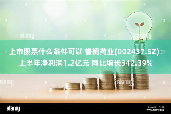 上市股票什么条件可以 誉衡药业(002437.SZ)：上半年净利润1.2亿元 同