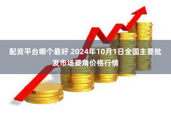 配资平台哪个最好 2024年10月1日全国主要批发市场菱角价格行情