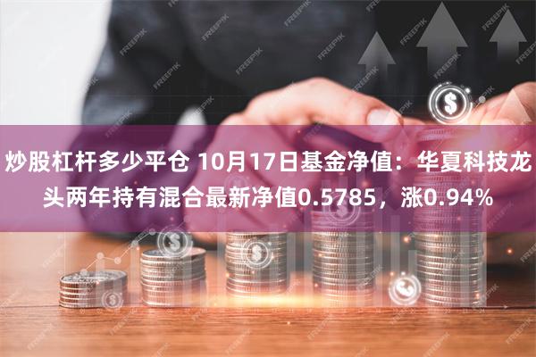 炒股杠杆多少平仓 10月17日基金净值：华夏科技龙头两年持有混合最新净值0.57