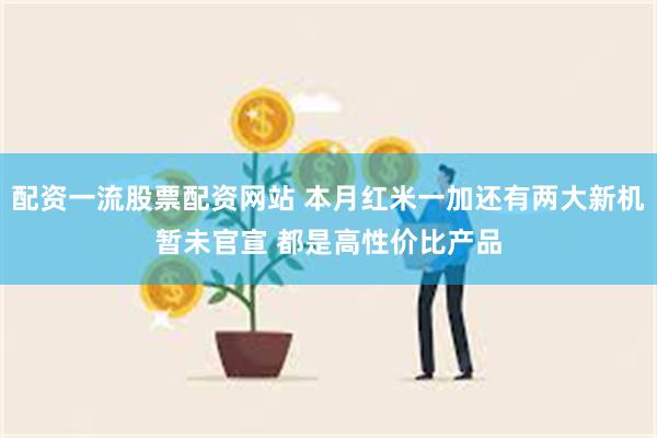 配资一流股票配资网站 本月红米一加还有两大新机暂未官宣 都是高性价比产品