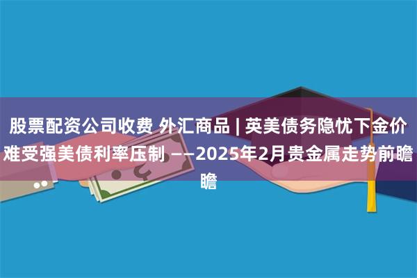 股票配资公司收费 外汇商品 | 英美债务隐忧下金价难受强美债利率压制 ——202