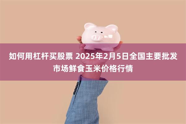 如何用杠杆买股票 2025年2月5日全国主要批发市场鲜食玉米价格行情