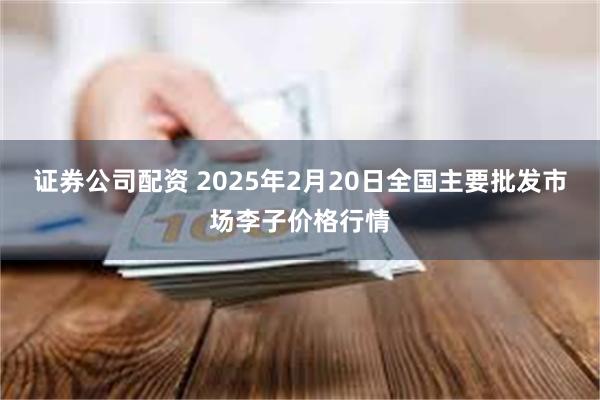 证券公司配资 2025年2月20日全国主要批发市场李子价格行情