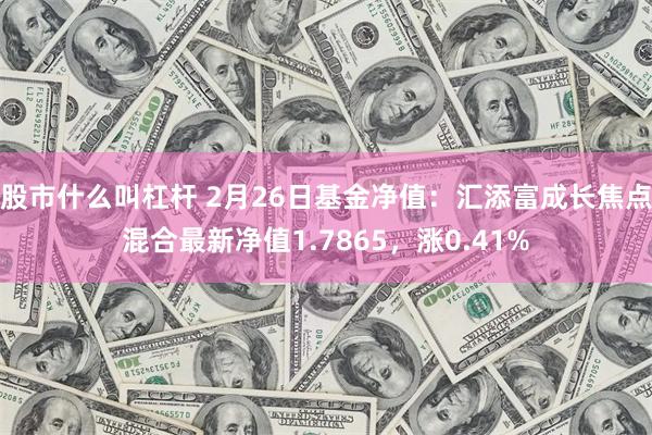 股市什么叫杠杆 2月26日基金净值：汇添富成长焦点混合最新净值1.7865，涨0